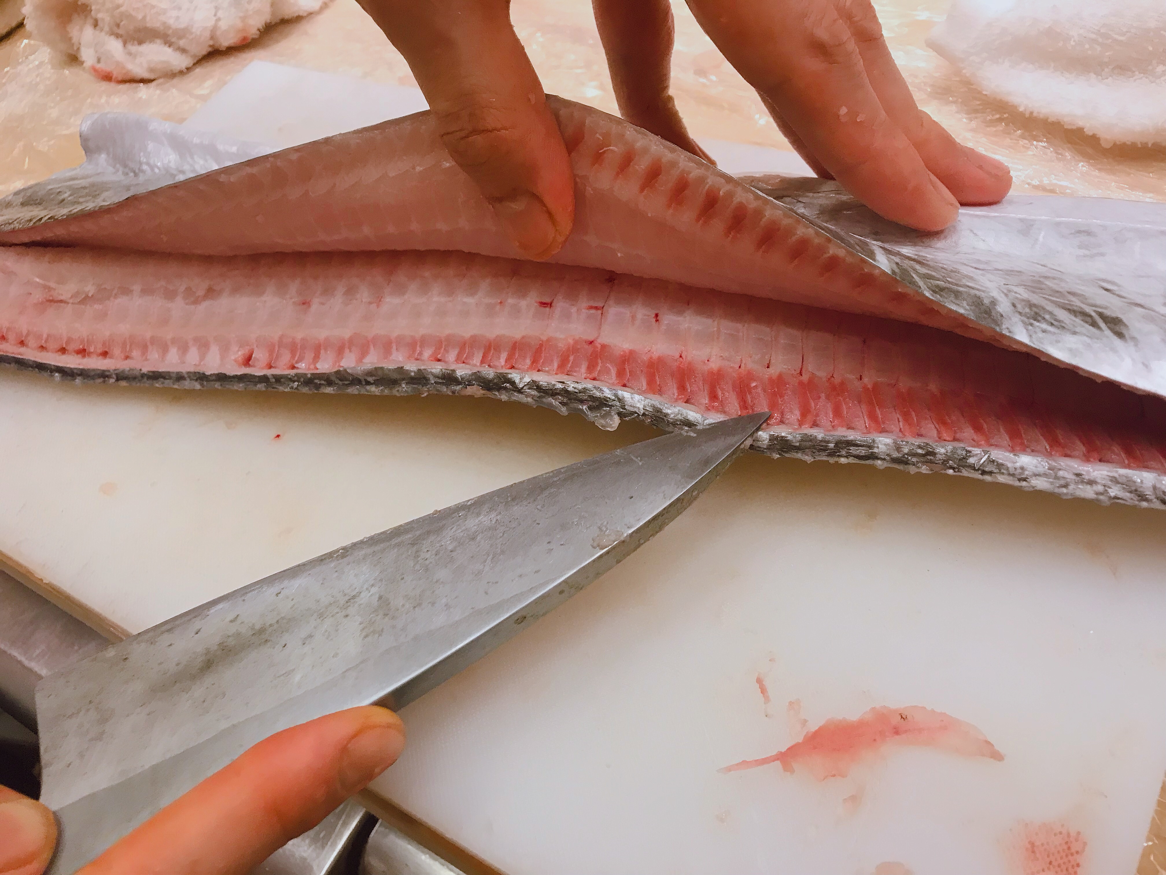 捌き 方 太刀魚 誰でも出来るタチウオの簡単な捌き方を教えます