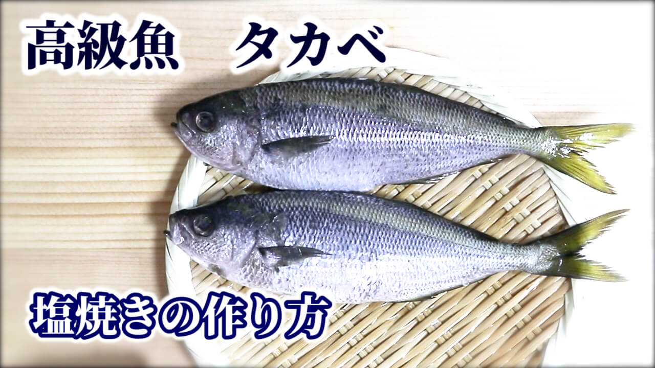 タカベの捌き方 高級魚を3枚におろして塩焼きにする方法をご紹介 銀座渡利 Ginza Watari